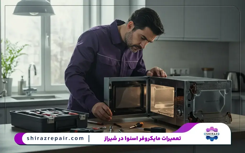 نمایندگی مایکروفر اسنوا در شیراز